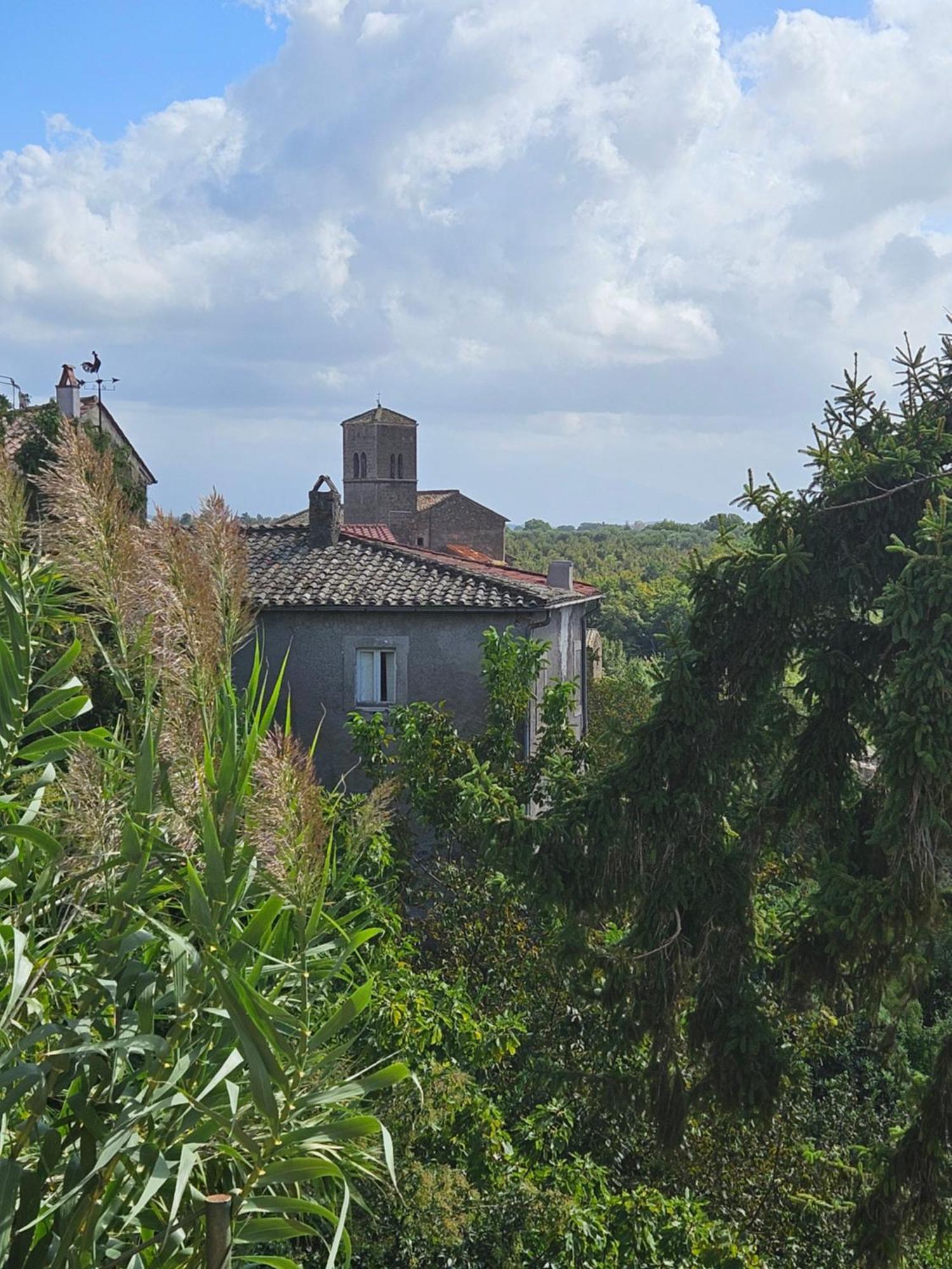 L' Antico Lavatoio Bed & Breakfast Rignano Flaminio Exterior photo