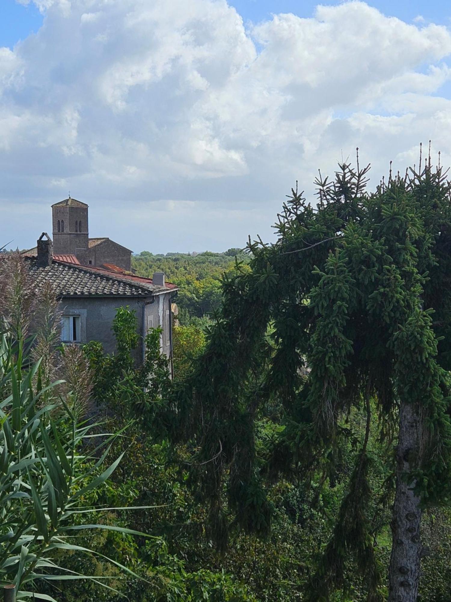 L' Antico Lavatoio Bed & Breakfast Rignano Flaminio Exterior photo